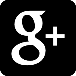 logo google+